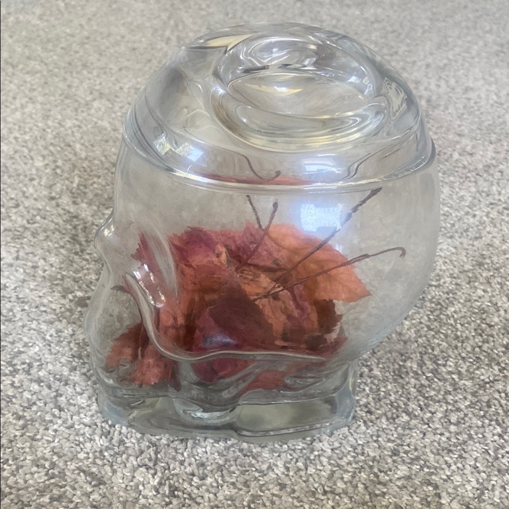 Thick Glass Skull Cookie Jar Canister with lid - Clear